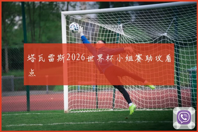 塔瓦雷斯2026世界杯小组赛助攻看点