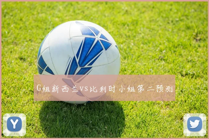 G组新西兰vs比利时小组第二预测