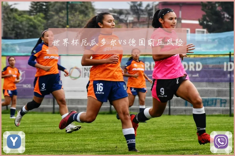 世界杯厄瓜多尔vs德国前压风险