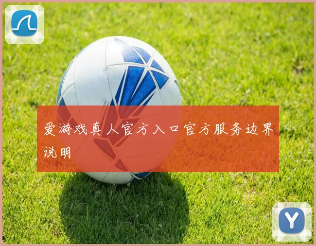 爱游戏真人官方入口官方服务边界说明