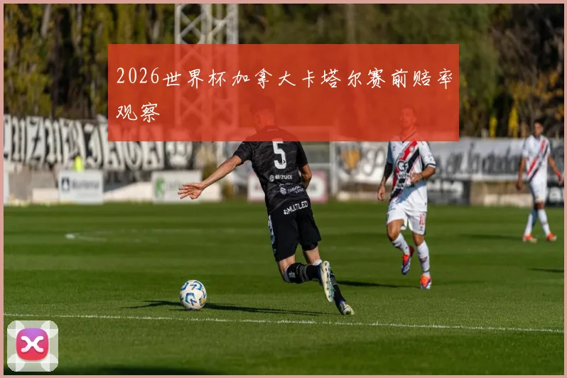 2026世界杯加拿大卡塔尔赛前赔率观察